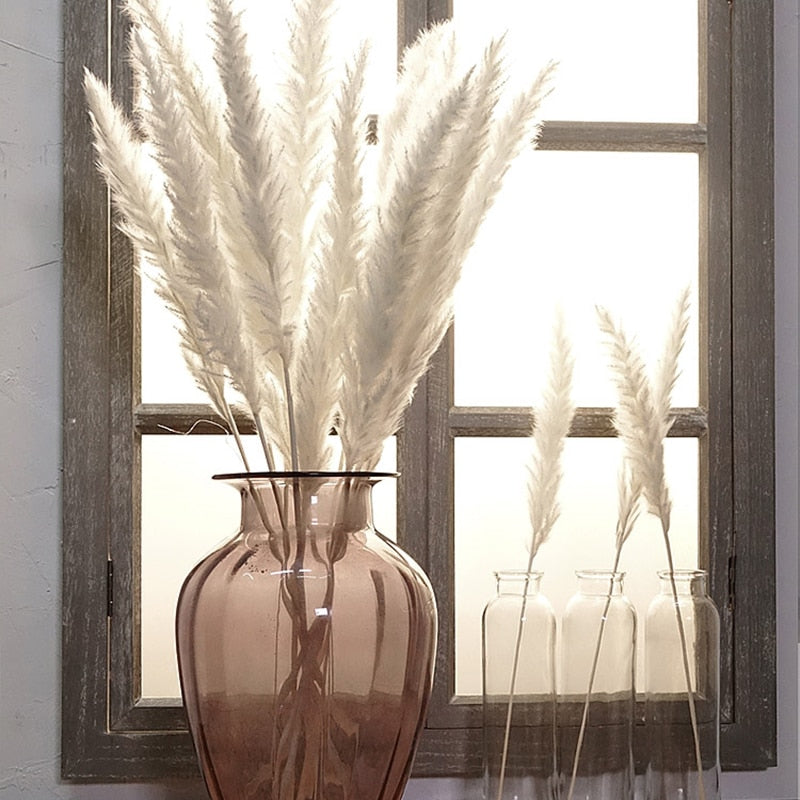 Tiges de roseau séché Nesty - Bouquet beige naturel dans un vase en verre rosé devant une fenêtre en bois