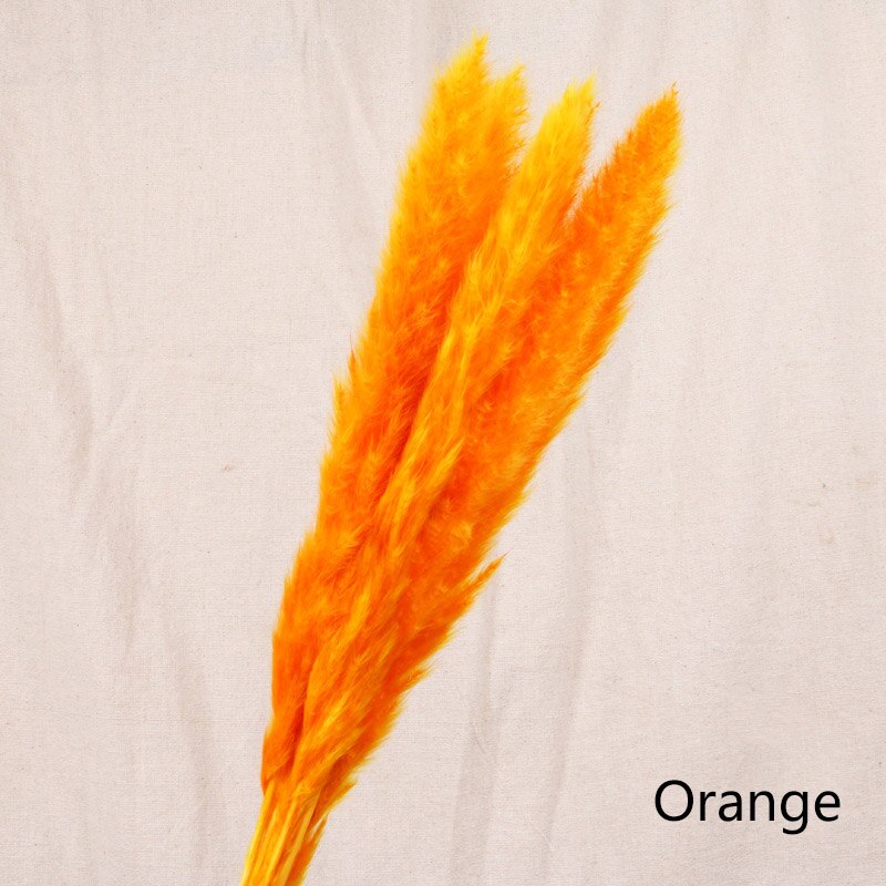 Tiges de roseau séché Nesty - Trois tiges orange vif à plat sur un tissu écru