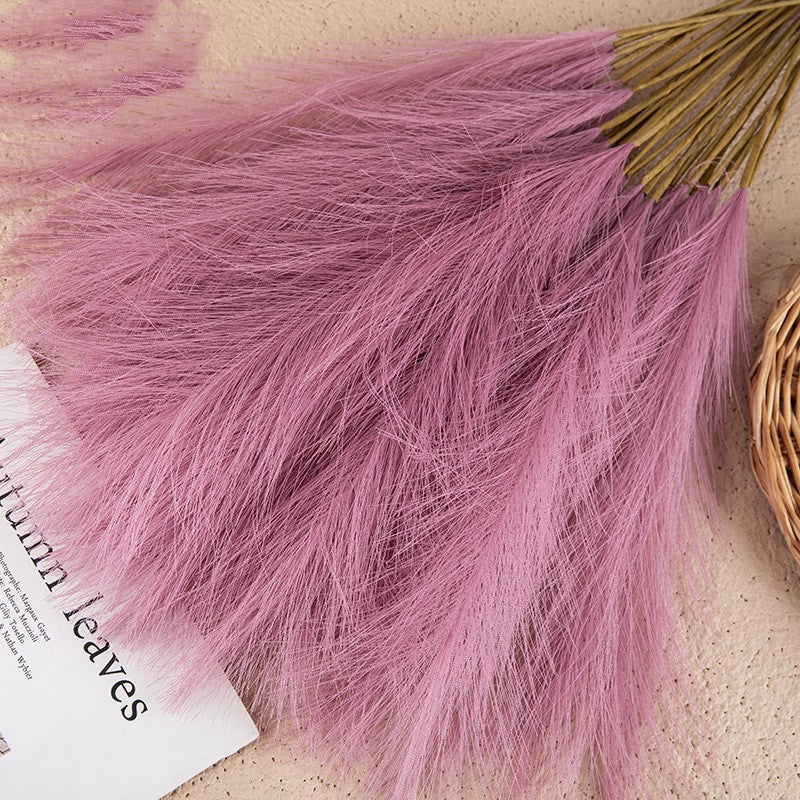 Tiges de pampa séchée Nesty - Gros plan des plumeaux rose vieilli sur fond beige