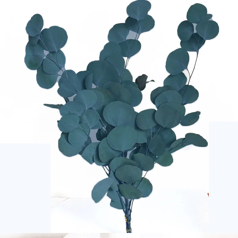Branches d'eucalyptus séché naturel 43cm, pour douche et vasque (vue 10) - Nesty