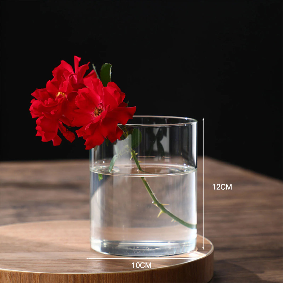 Vase cylindrique en verre transparent, culture hydroponique - Nesty (vue 16)