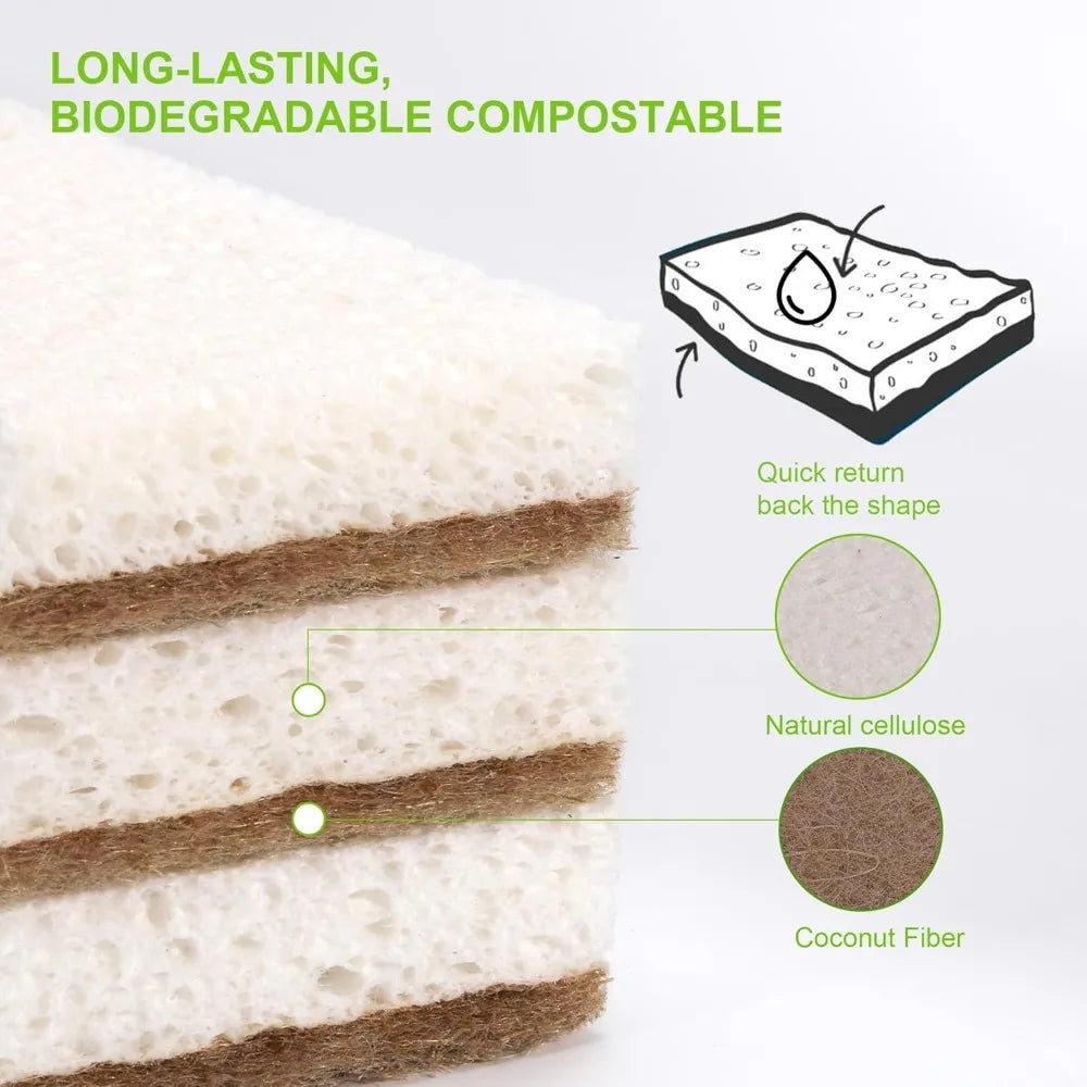 Lot de 12 éponges compostables en fibre de coco - Nesty (vue 4)