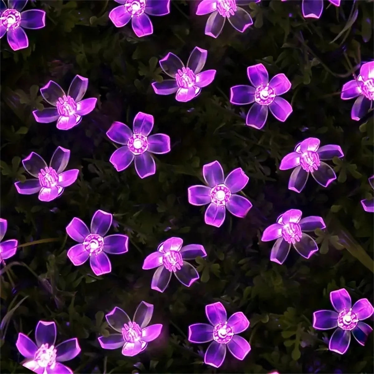 Guirlande solaire fleurs violettes Nesty - Lumière LED pour le jardin (vue 5)