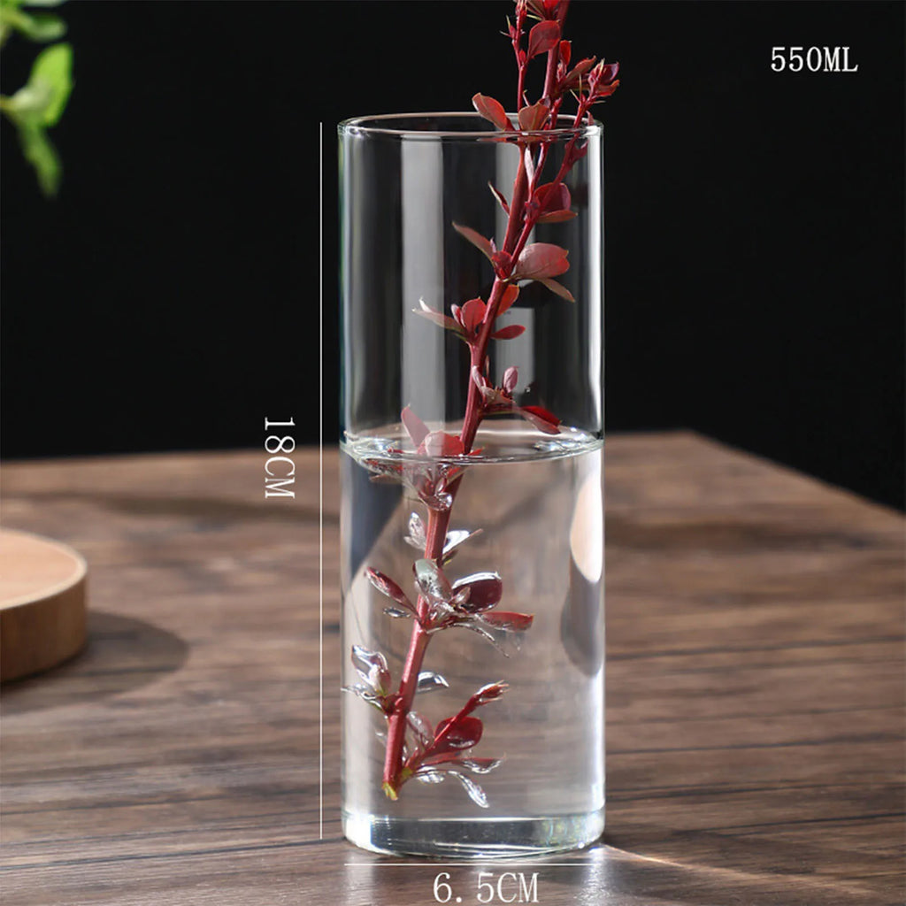 Vase cylindrique en verre transparent, culture hydroponique - Nesty (vue 12)