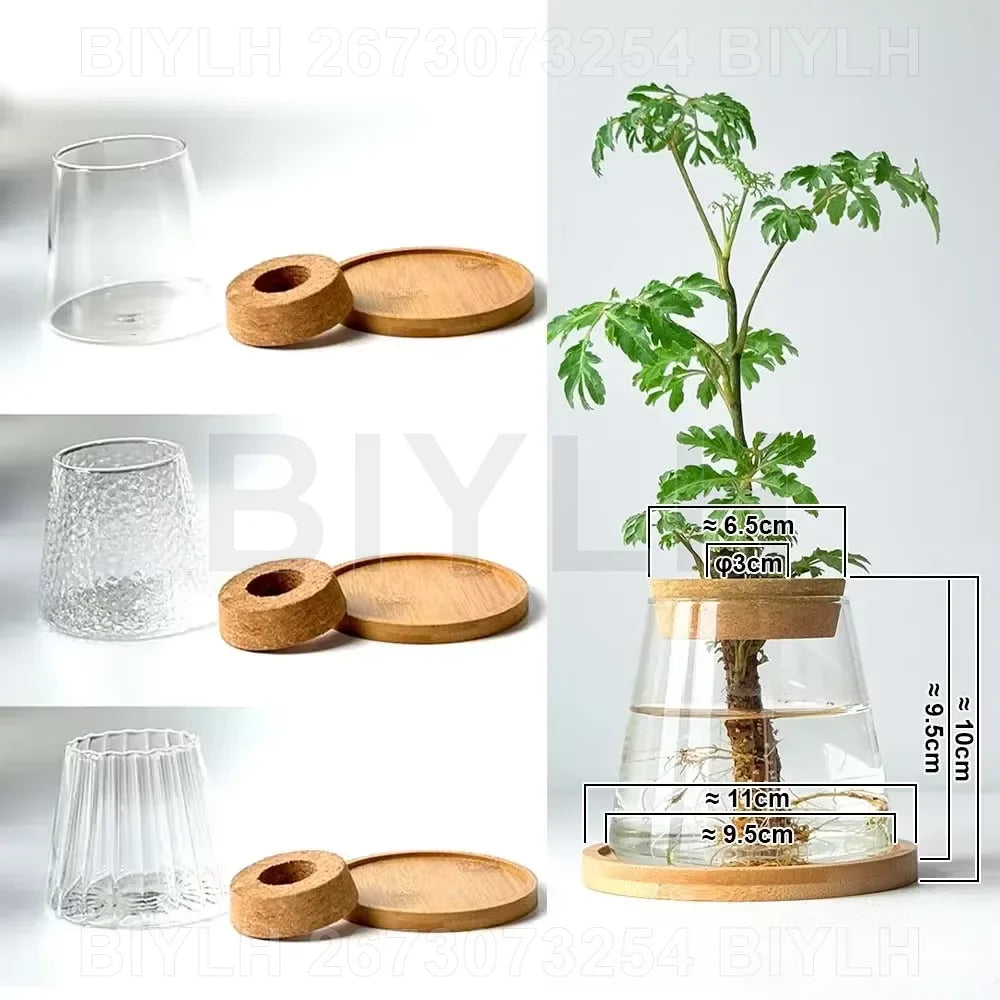 Vase en verre pour hydroponie, avec plateau Nesty, collage des trois finitions de verre lisse, martelée et cannelée avec bouchon et plateau, et schéma des dimensions