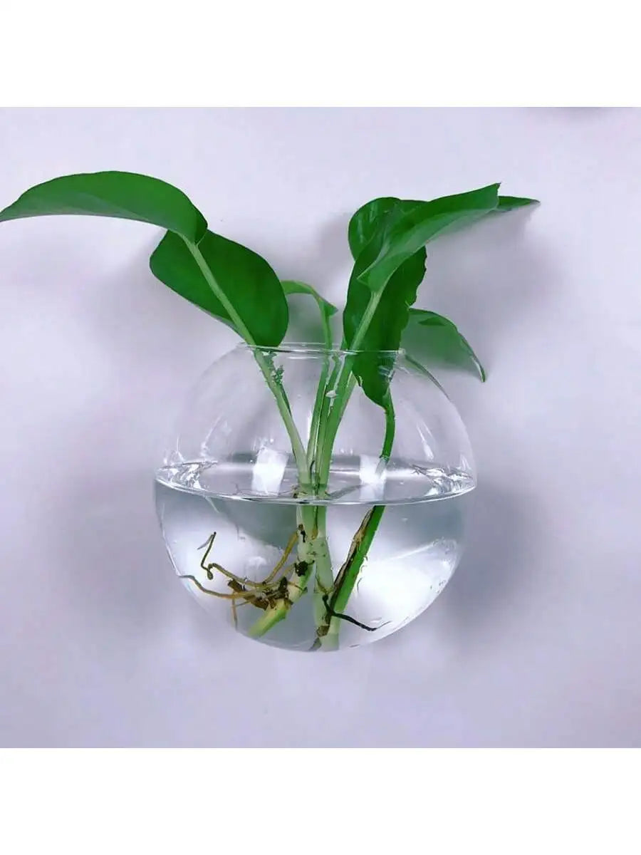 Terrarium mural en verre Nesty - Gros plan sur un vase avec bouture