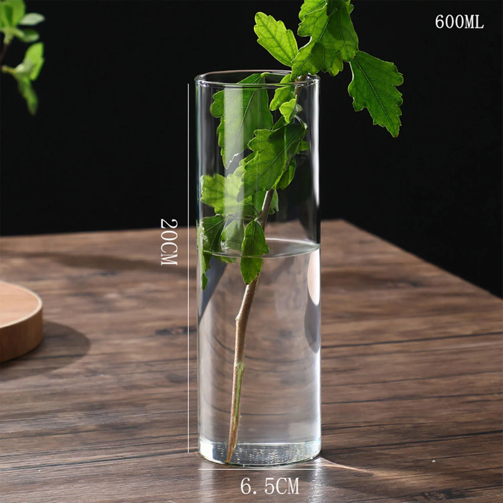 Vase cylindrique en verre transparent, culture hydroponique - Nesty (vue 18)