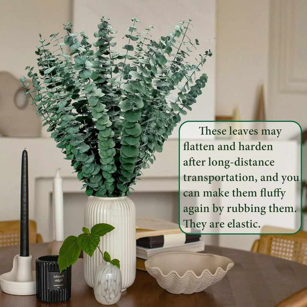 Bouquet d'eucalyptus séché dans un vase blanc cannelé, sur une table en bois avec bougies et coquillage décoratif - Nesty