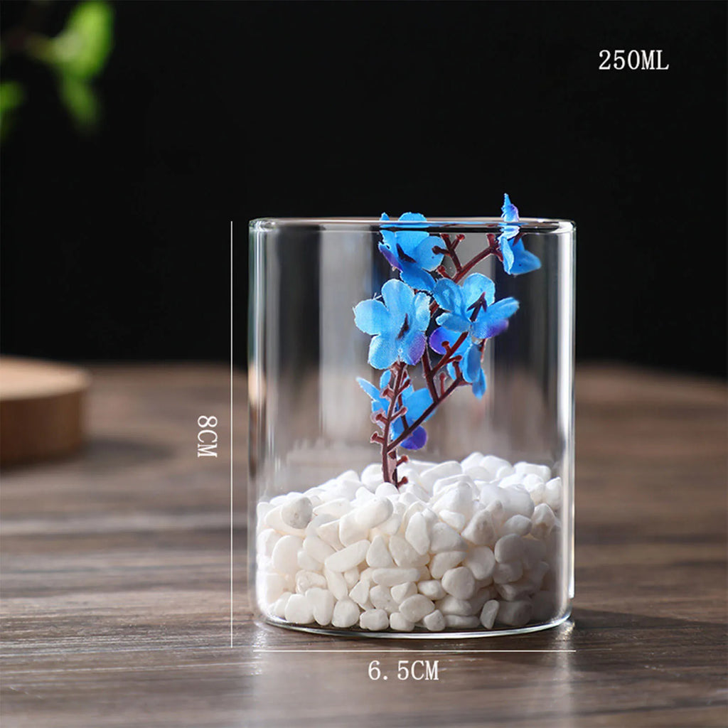 Vase cylindrique en verre transparent, culture hydroponique - Nesty (vue 21)