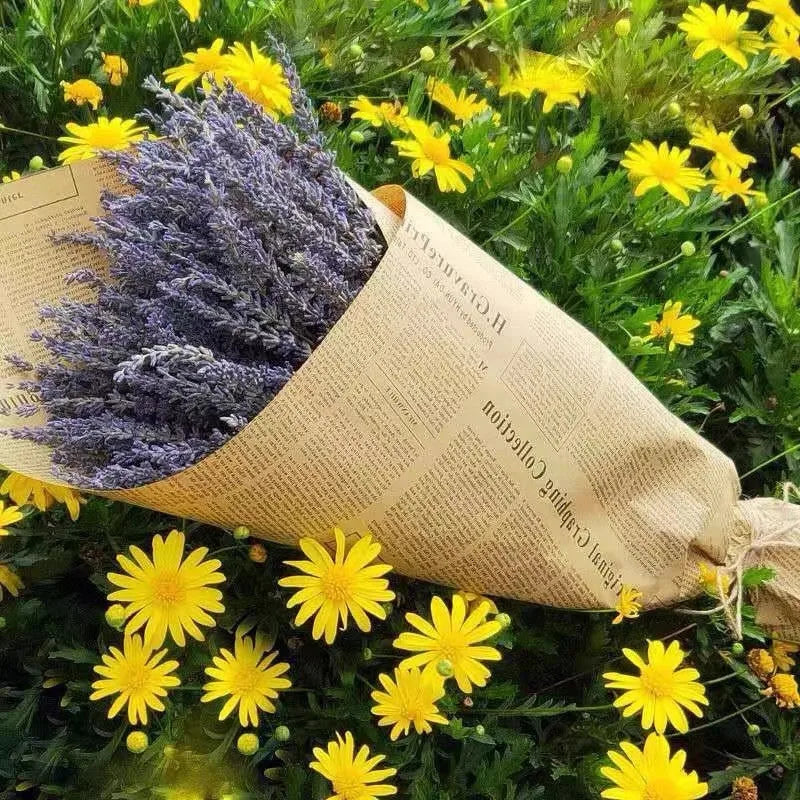Bouquets de lavande séchée naturelle, 50 ou 100 tiges (vue 5) - Nesty