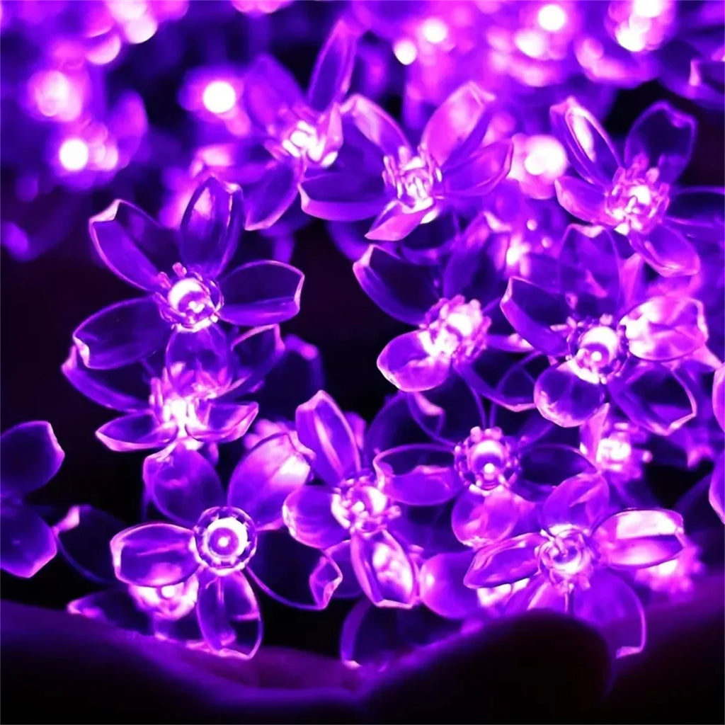 Guirlande solaire fleurs violettes Nesty - Gros plan sur les fleurs allumées, fond sombre