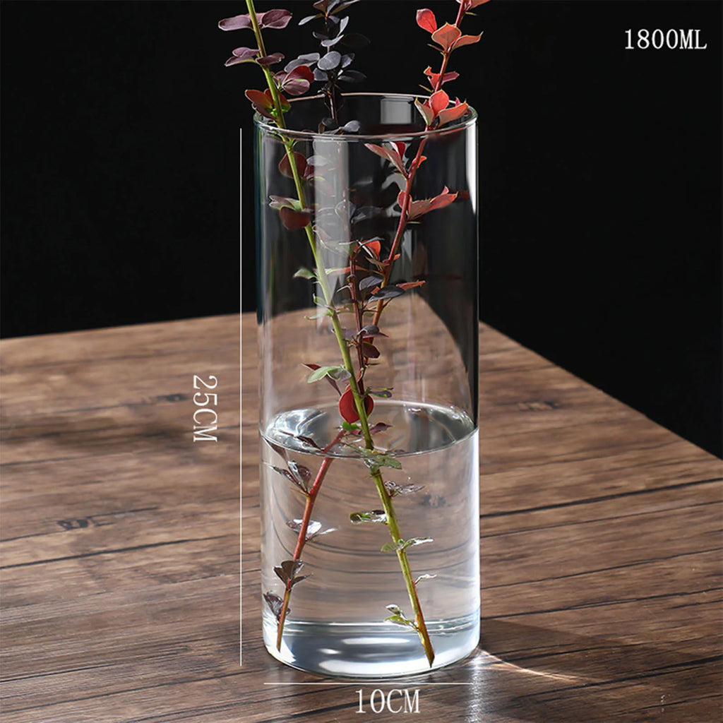 Vase cylindrique en verre transparent, culture hydroponique - Nesty (vue 23)
