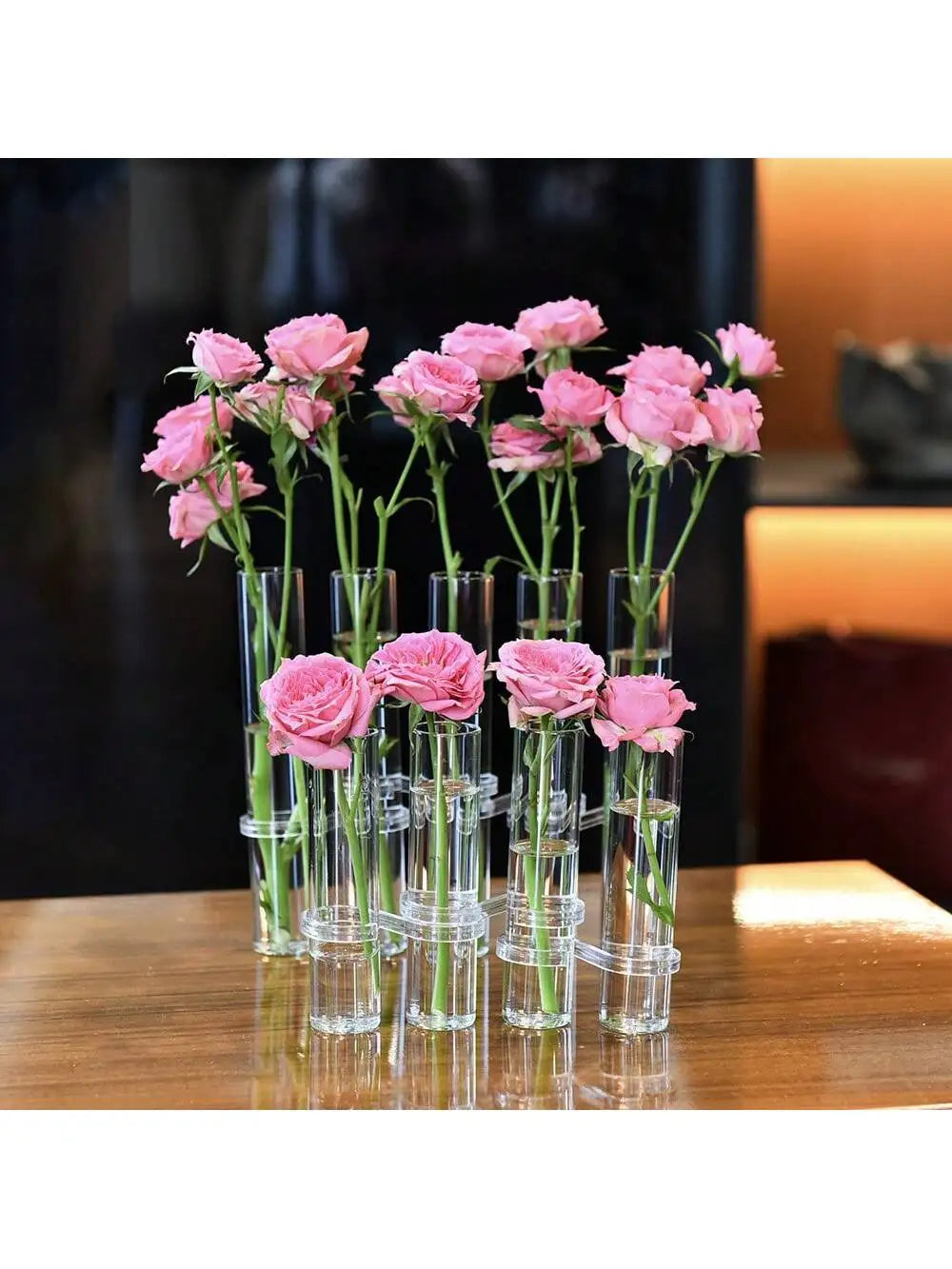 Vase suspendu en verre pour bouturage, lot de tubes transparents Nesty, deux rangées de tubes garnies de roses roses, fond sombre, éclairage chaleureux