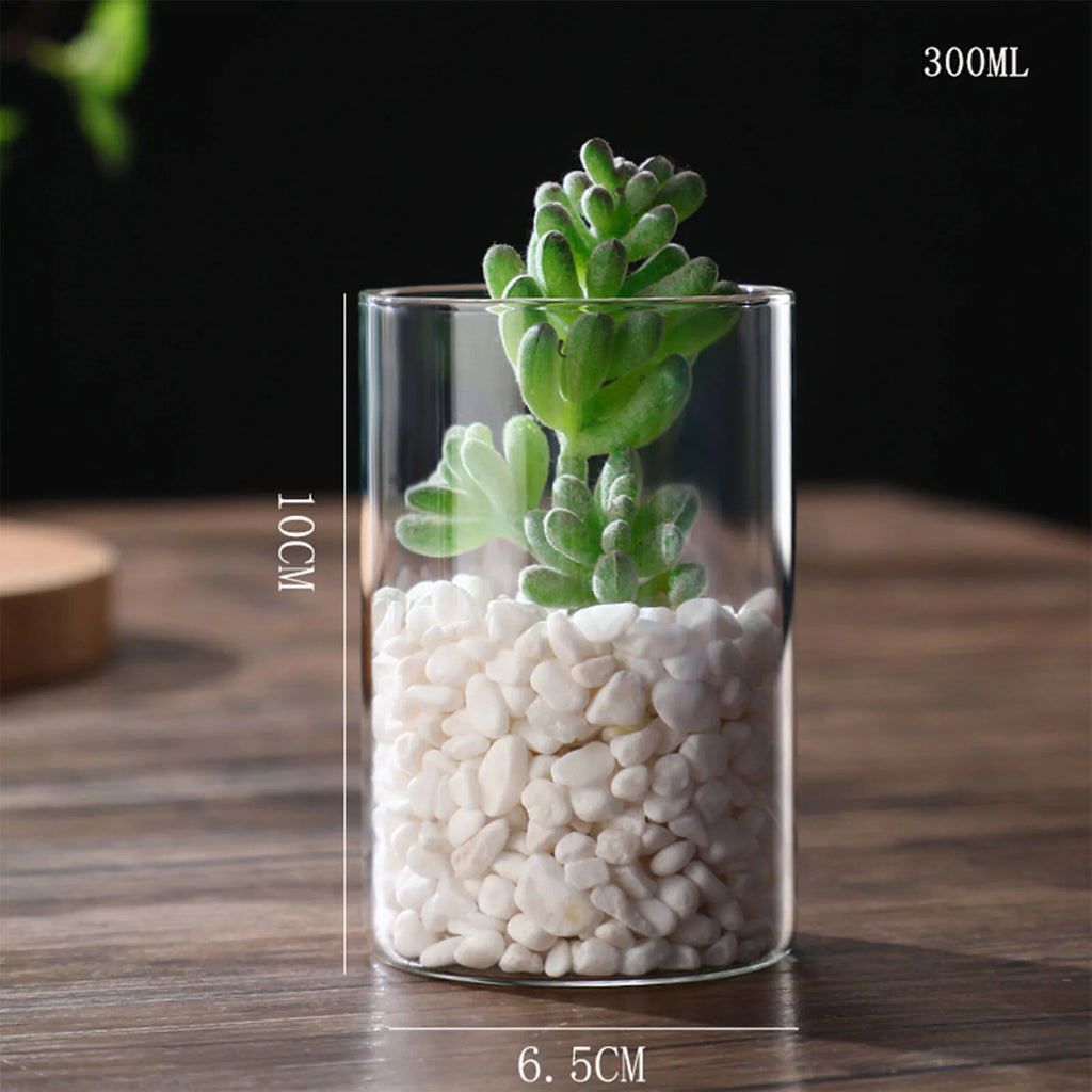 Vase cylindrique en verre transparent, culture hydroponique - Nesty (vue 10)