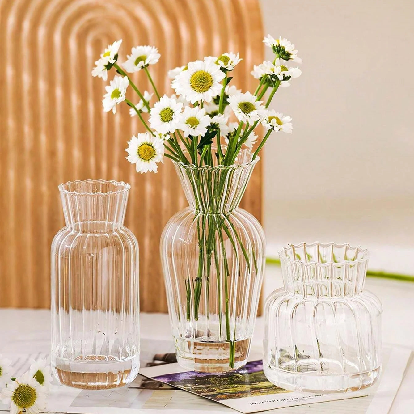 Vase en verre transparent strié, mini format rétro Nesty, trois formes côtelées transparentes, le grand modèle central garni de marguerites blanches