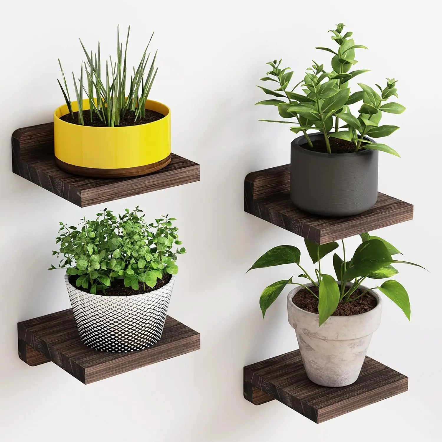 Mini étagères murales en bois - lot de 4 Nesty, quatre étagères en bois foncé fixées au mur avec pots de plantes vertes