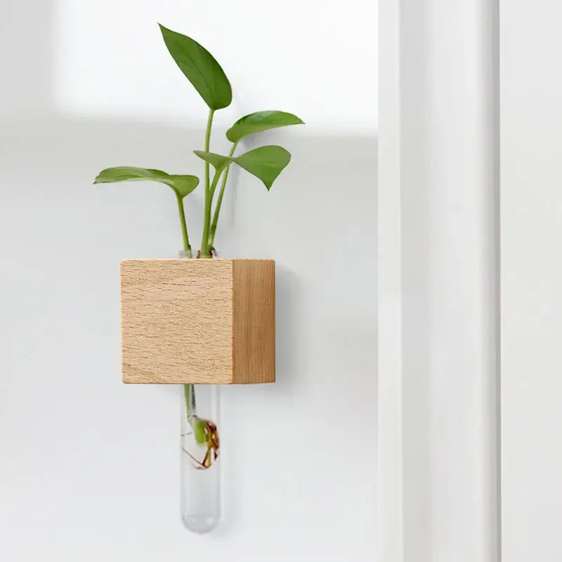 Mini vase tube aimanté en bois Nesty - Gros plan sur un modèle fixé au mur avec pothos