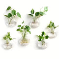 Terrarium mural en verre Nesty - Vase suspendu pour bouture (vue 5)