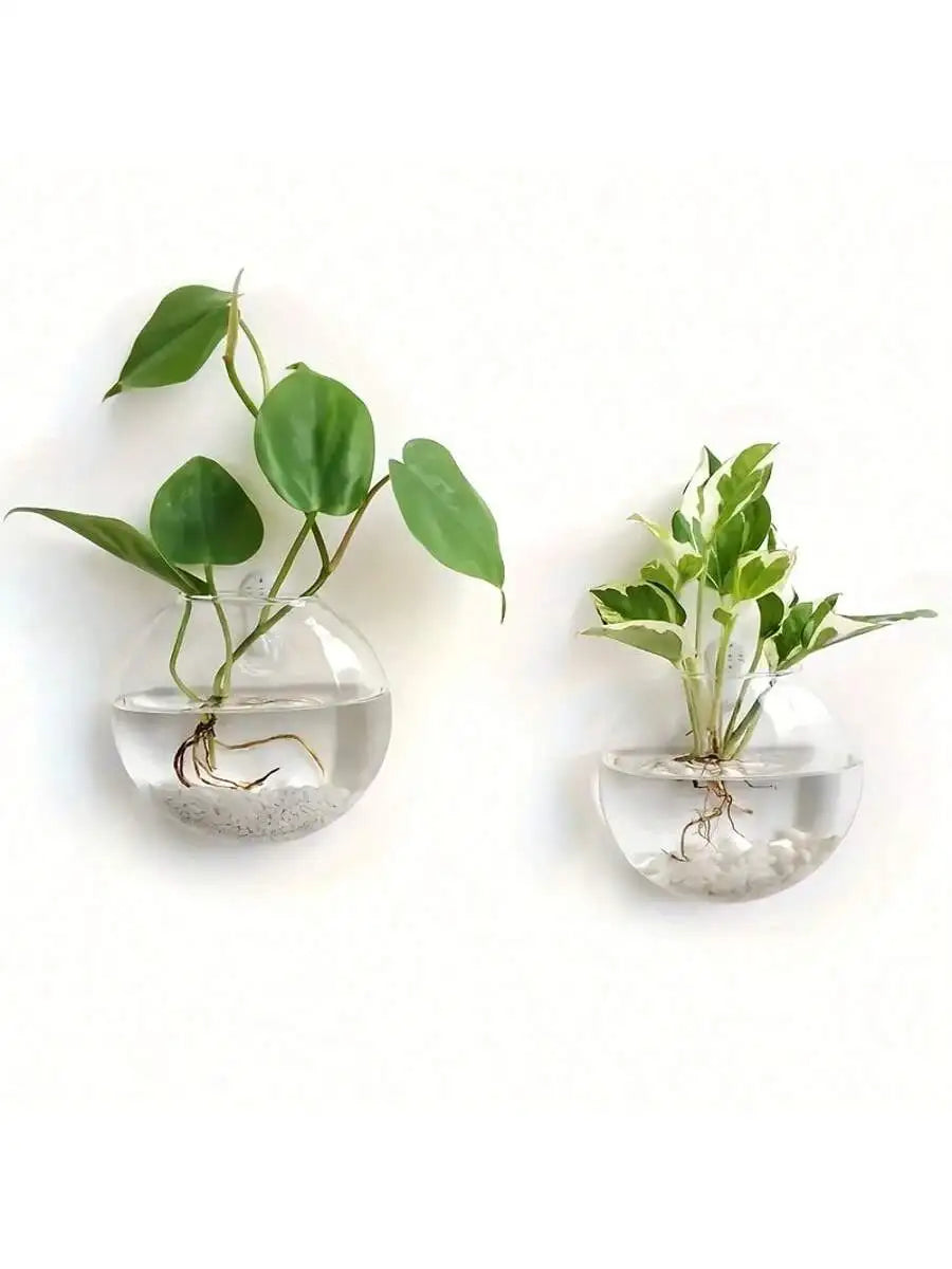 Terrarium mural en verre Nesty - Vase suspendu pour bouture (vue 7)