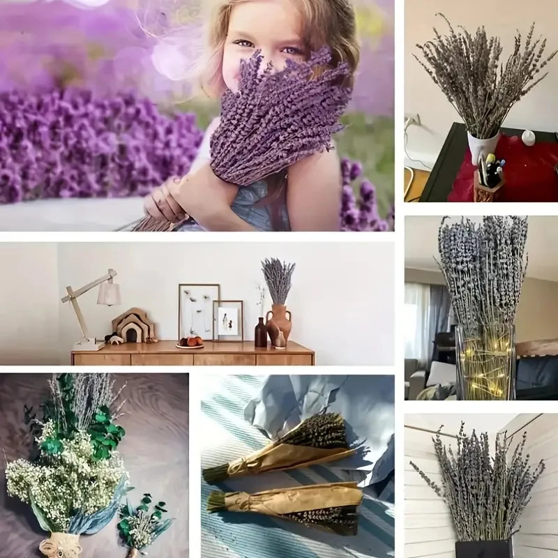 Collage lavande séchée : bouquet tenu par une enfant dans un champ, vase sur meuble, lampe torche décorative et bouquets emballés - Nesty