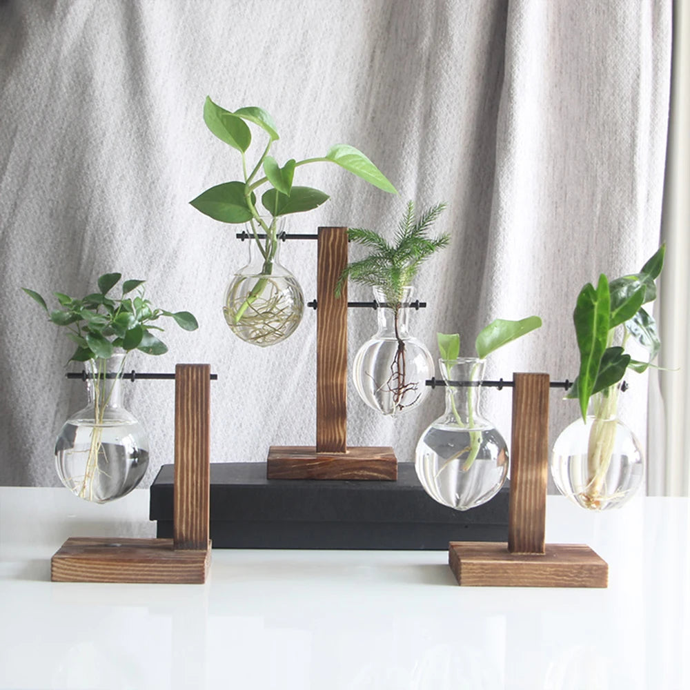 Vase hydroponique en verre sur pied bois Nesty - Trois supports arrangés ensemble