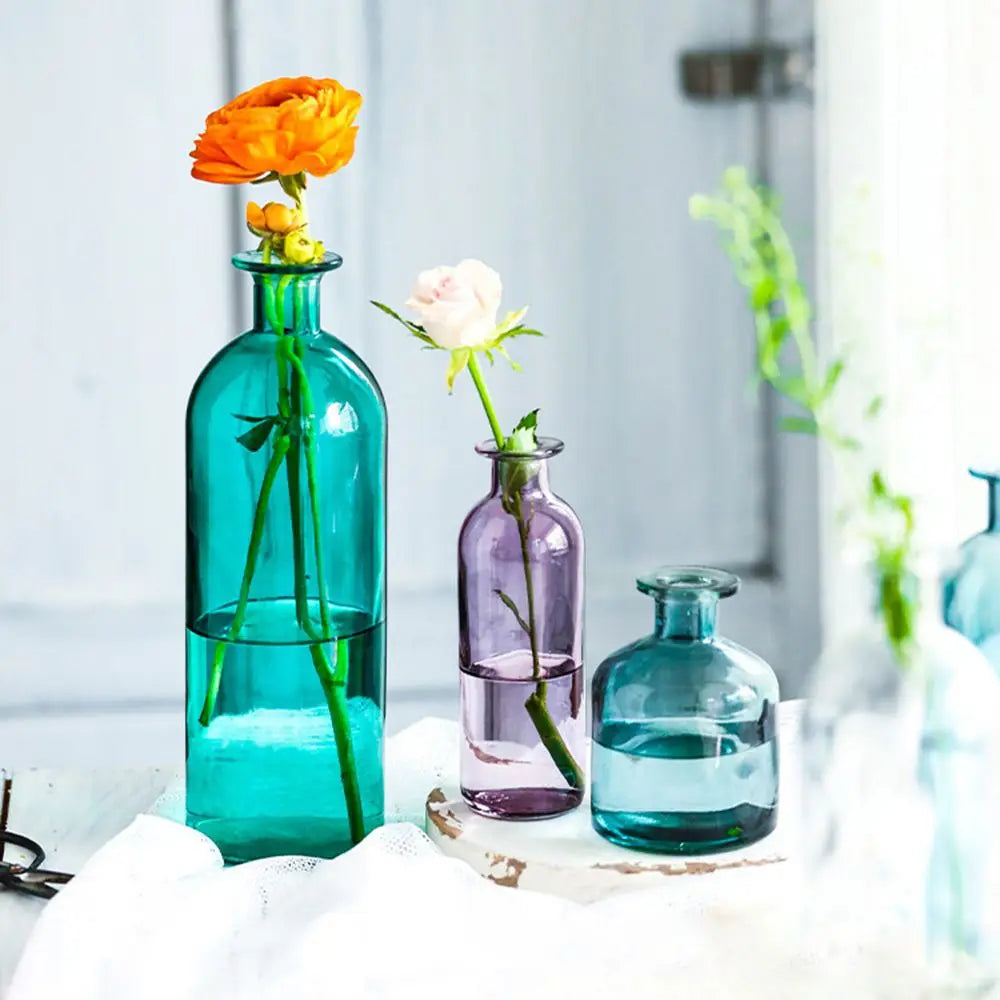 Vase en verre pour bouture hydroponique (vue 5) - Nesty
