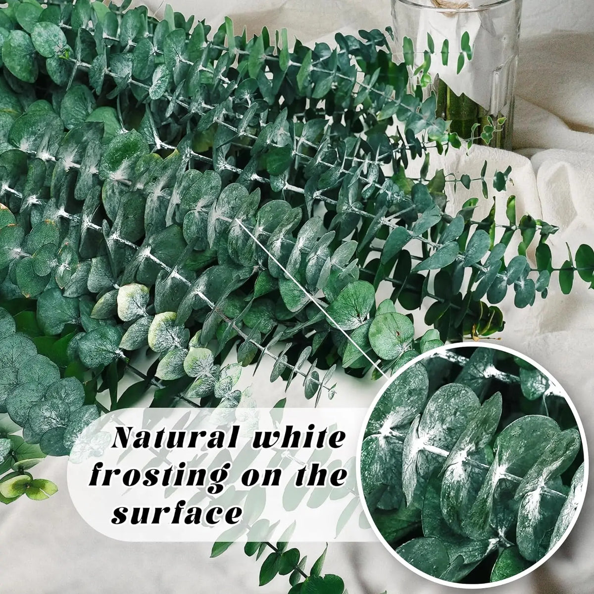 Branches d'eucalyptus séché naturel 43cm, pour douche et vasque (vue 6) - Nesty