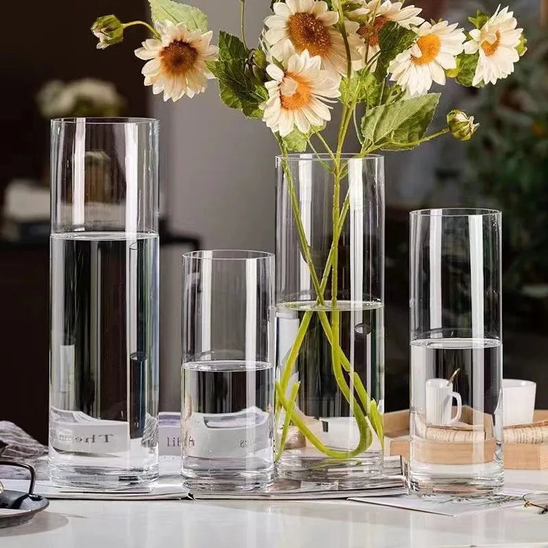 Vase cylindrique en verre transparent, culture hydroponique - Nesty (vue 5)