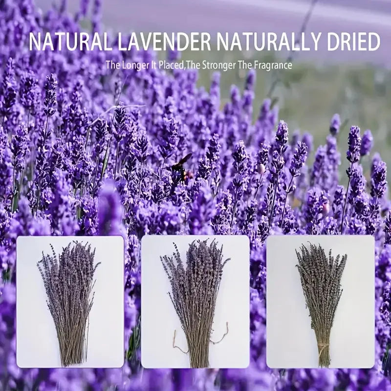 Champ de lavande en fleurs avec trois échantillons de bouquets séchés, texte 'Natural Lavender Naturally Dried' - Nesty