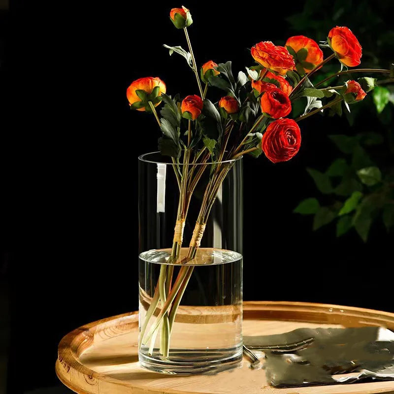 Vase cylindrique en verre transparent, culture hydroponique - Nesty (vue 2)