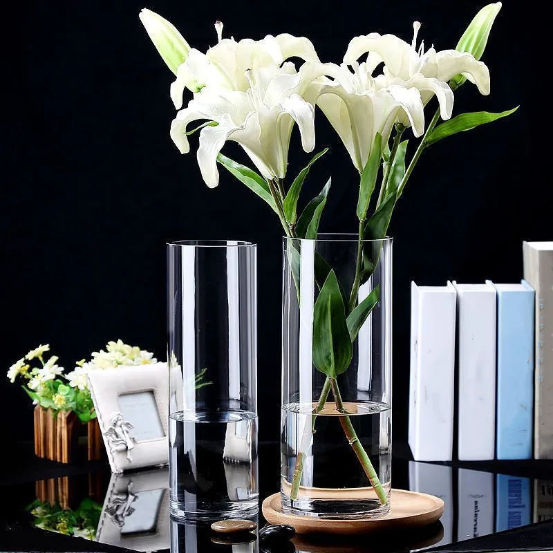 Vase cylindrique en verre transparent, culture hydroponique - Nesty (vue 3)
