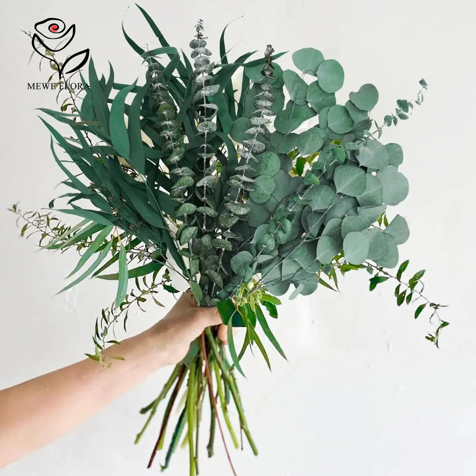 Feuilles d'eucalyptus séché naturel, branches pour bouquet et vase Nesty, gros bouquet varié de branches d'eucalyptus tenu à la main, sur fond blanc