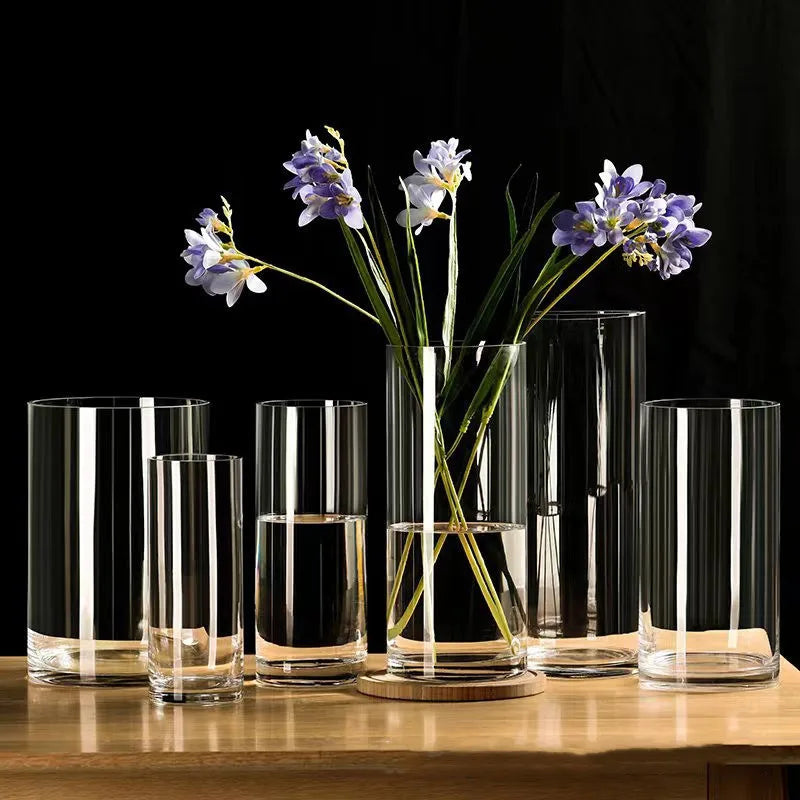 Vase cylindrique en verre transparent, culture hydroponique - Nesty (vue 1)