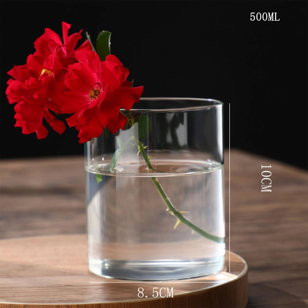 Vase cylindrique en verre transparent, culture hydroponique - Nesty (vue 25)