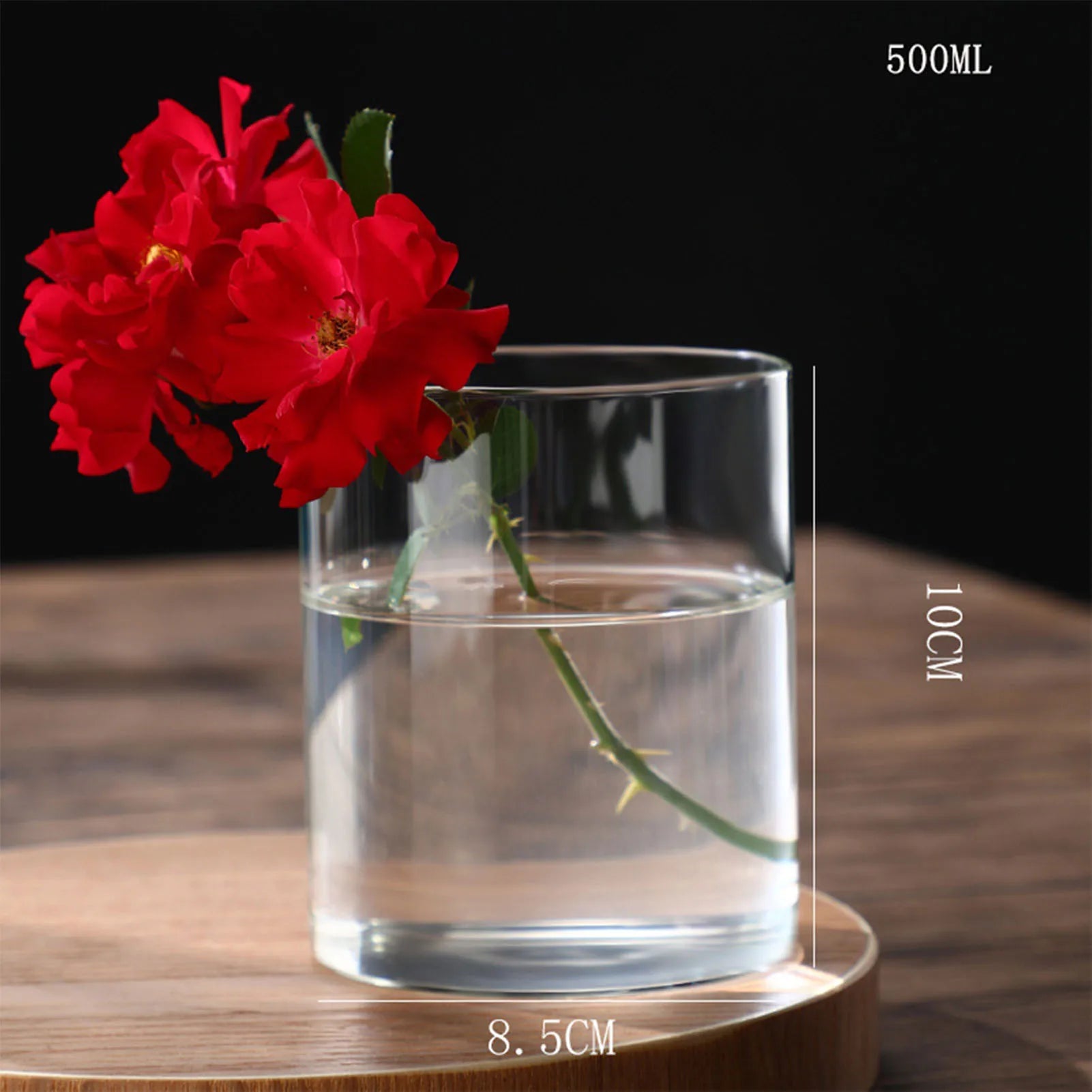 Vase cylindrique en verre transparent, culture hydroponique - Nesty (vue 25)
