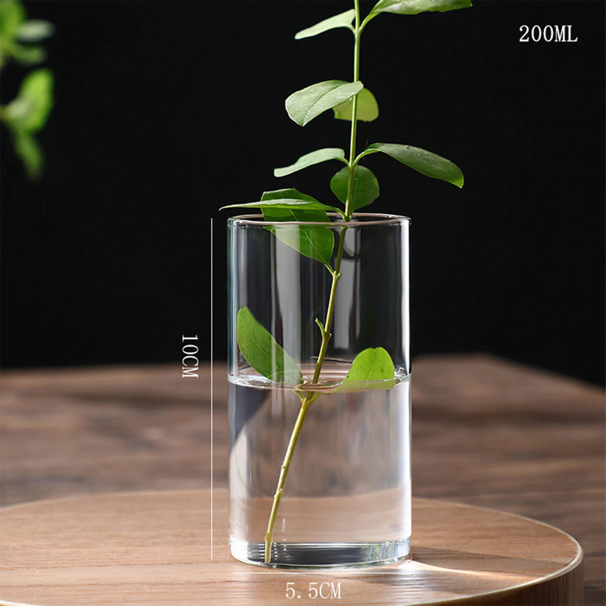 Vase cylindrique en verre transparent, culture hydroponique - Nesty (vue 9)