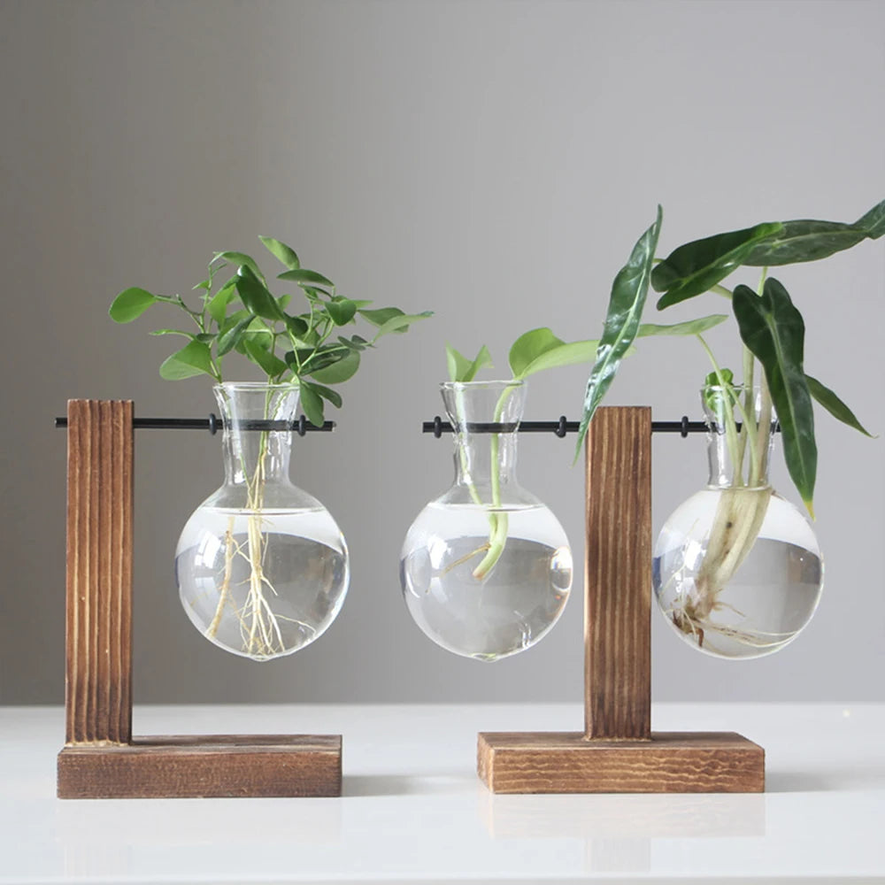 Vase hydroponique en verre sur pied bois Nesty - Deux supports individuels à vasque unique