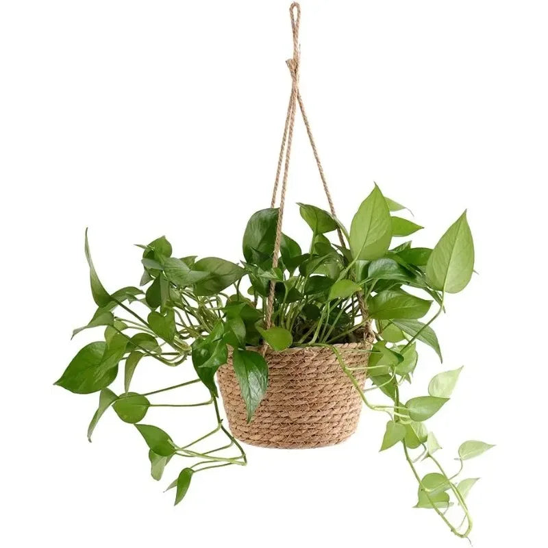 Suspension macramé en jute pour plantes - Nesty (vue 2)