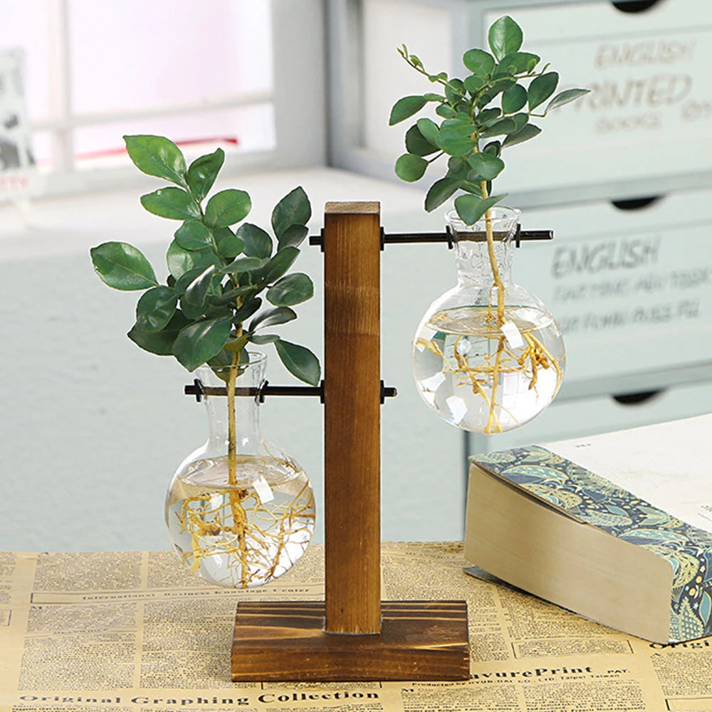 Vase hydroponique en verre sur pied bois Nesty - Modèle double vasque, posé près de livres