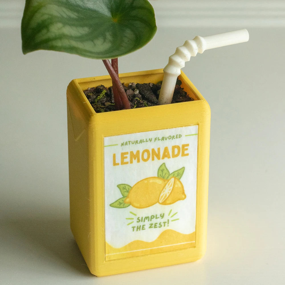 Vase céramique forme brique de jus, style rétro - Nesty - Vase jaune imitation brique de limonade avec paille blanche et plante grasse en terre