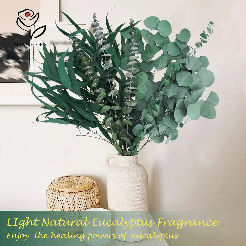 Feuilles d'eucalyptus séché naturel, branches pour bouquet et vase Nesty, bouquet garni dans un vase en céramique beige texturé, sur console avec panier tressé