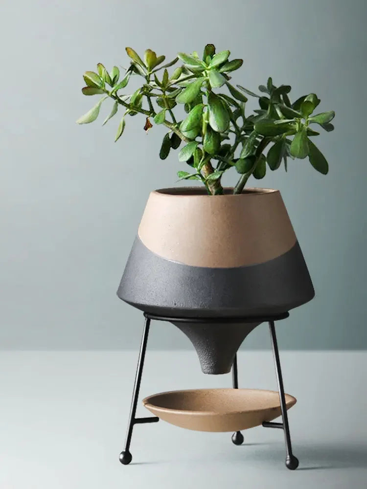 Vase en céramique bicolore — cadre en métal - Nesty - Coloris beige et noir mat avec plante grasse, posé sur trépied en métal noir avec coupelle