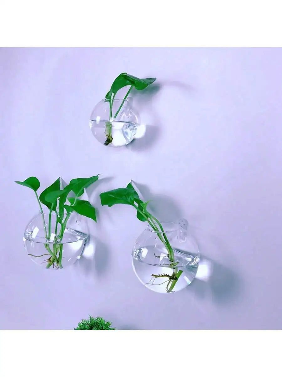 Terrarium mural en verre Nesty - Trois vases muraux alignés sur un mur