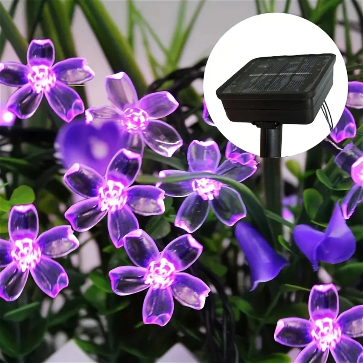 Guirlande solaire fleurs violettes Nesty - Fleurs lumineuses sur un massif, panneau solaire en médaillon