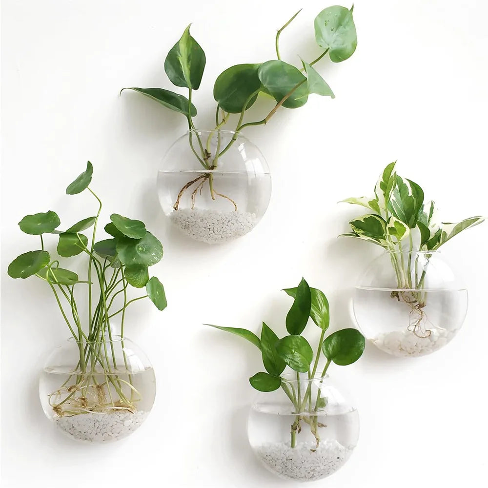 Terrarium mural en verre Nesty - Vase suspendu pour bouture (vue 8)