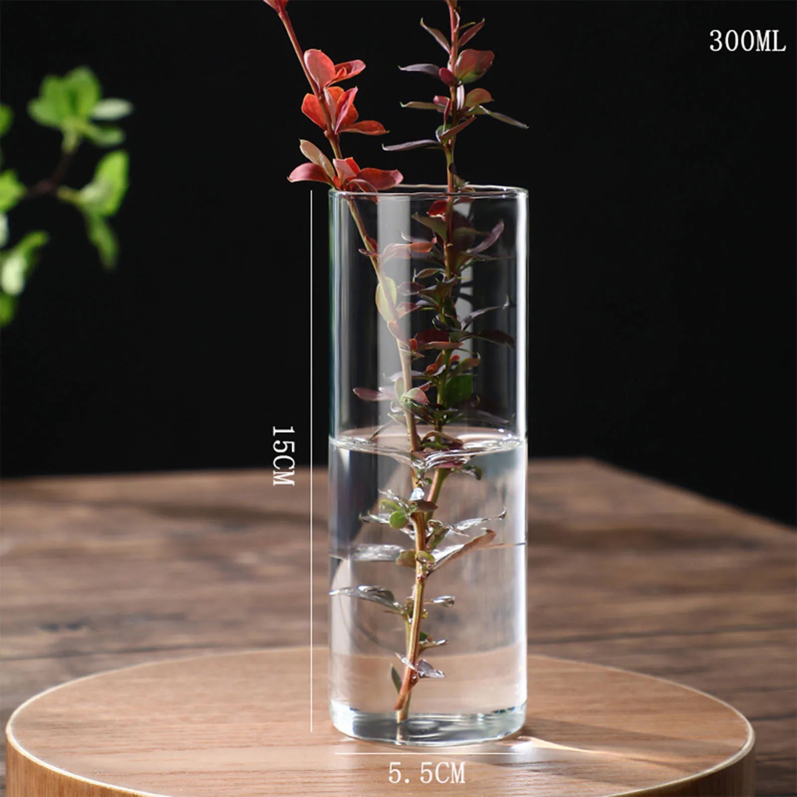 Vase cylindrique en verre transparent, culture hydroponique - Nesty (vue 22)