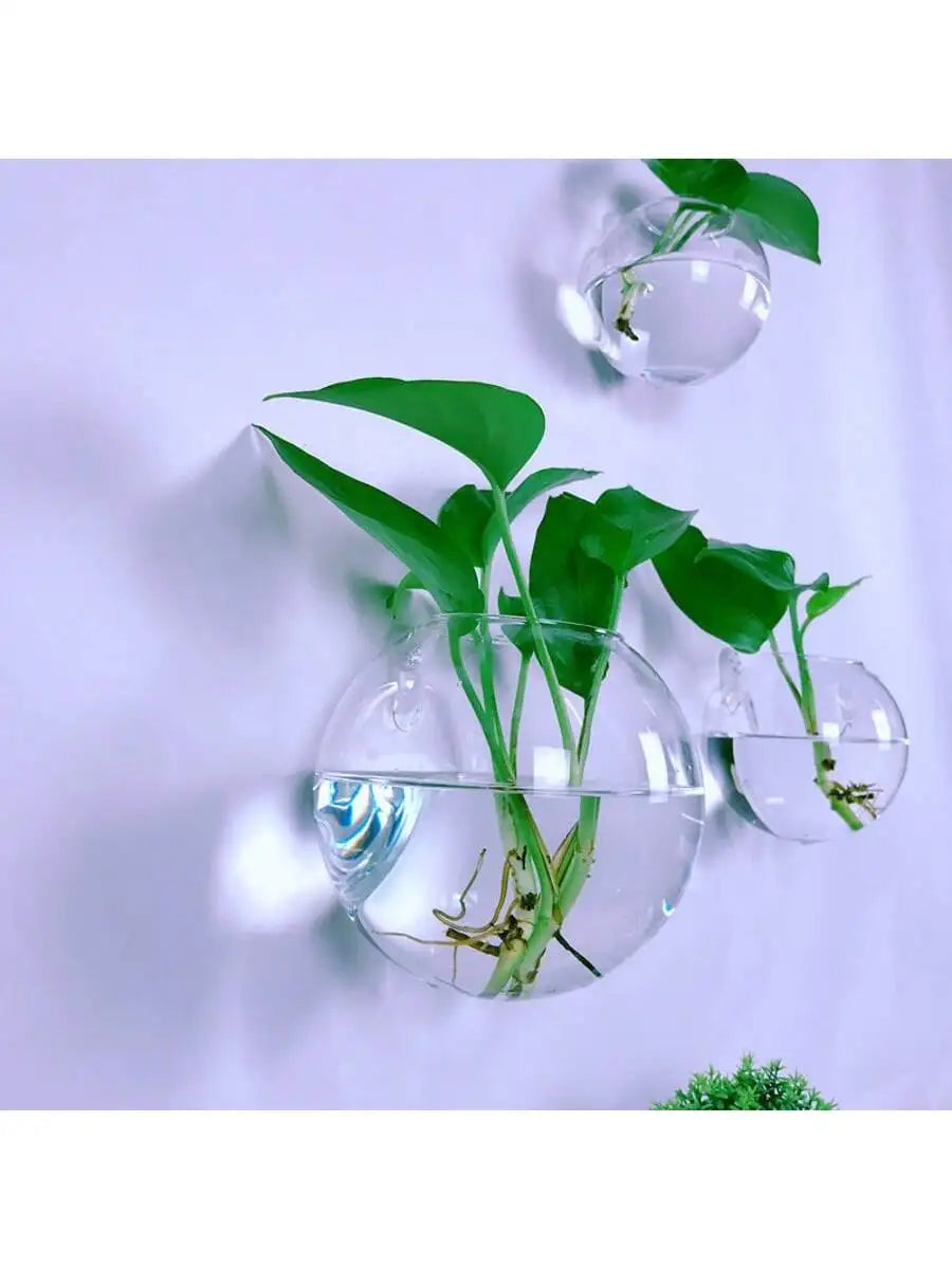 Terrarium mural en verre Nesty - Trois vases muraux installés en angle