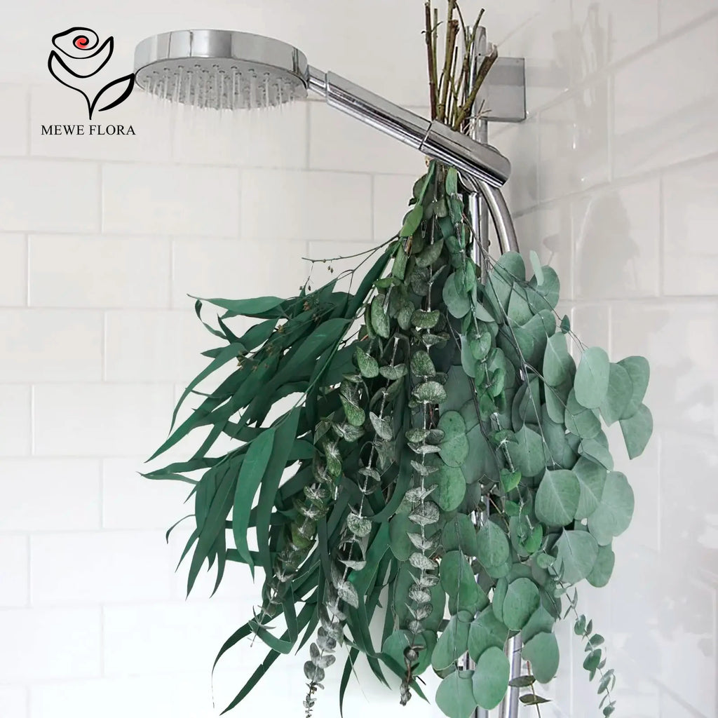 Feuilles d'eucalyptus séché naturel, branches pour bouquet et vase Nesty, branches suspendues à un pommeau de douche pour séchage, dans une salle de bain carrelée blanche