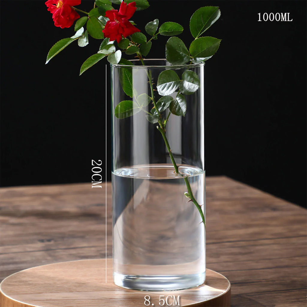 Vase cylindrique en verre transparent, culture hydroponique - Nesty (vue 20)