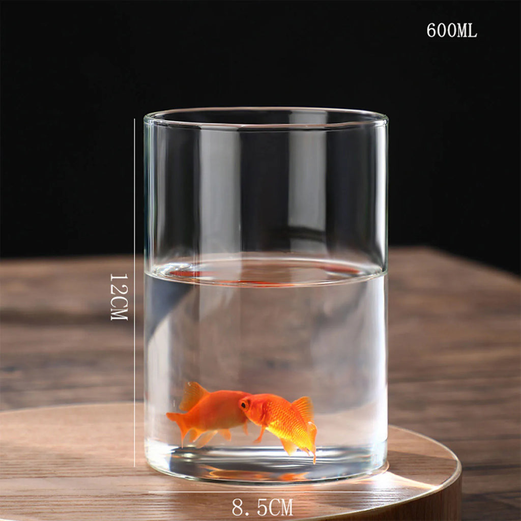 Vase cylindrique en verre transparent, culture hydroponique - Nesty (vue 14)